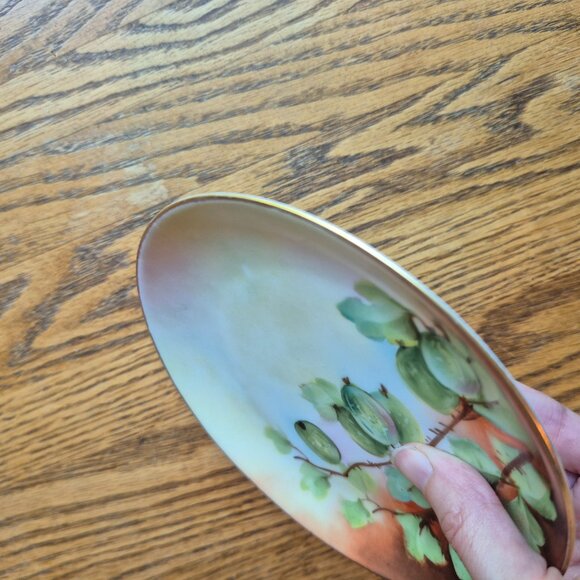 Hutchenreuther Selb Bavaria Handpainted Gold Trimmed Plate Cottagecore - Picture 5 of 13